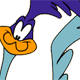Speedy Road Runner